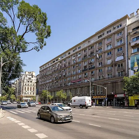 Romana Vibe Elegance In The Heart Of The