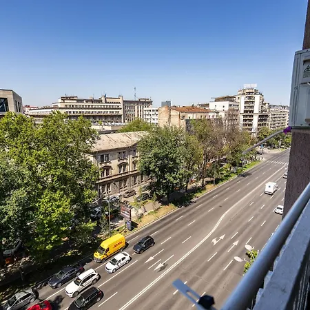 Romana Vibe Elegance In The Heart Of The