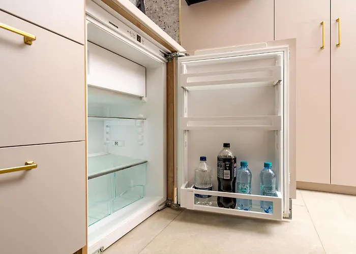 Romana Vibe Elegance In The Heart Of The Apartamento